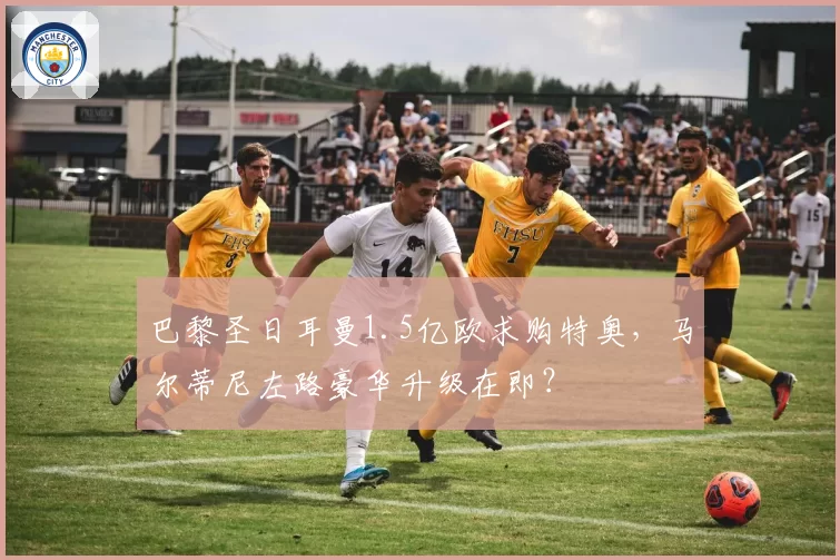 巴黎圣日耳曼1.5亿欧求购特奥，马尔蒂尼左路豪华升级在即？