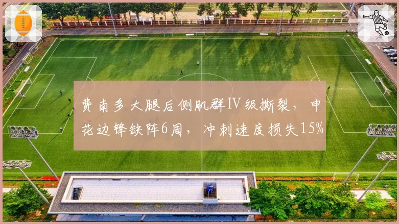 费南多大腿后侧肌群Ⅱ级撕裂，申花边锋缺阵6周，冲刺速度损失15%